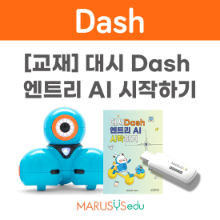 [대시] 대시 DASH엔트리 AI 시작하기